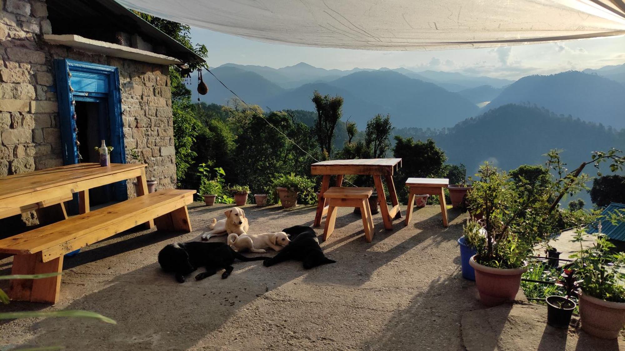 Vista Hostel Jeolikote, Nainital Patwa Dunga Szoba fotó