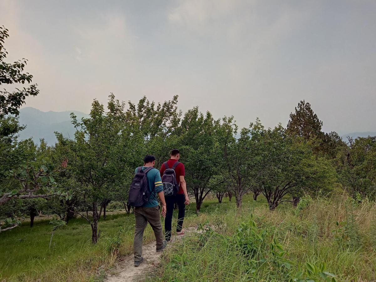 Vista Hostel Jeolikote, Nainital Patwa Dunga Kültér fotó