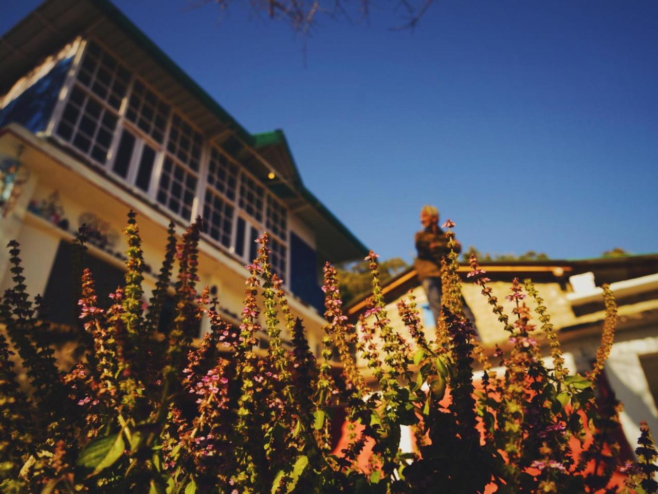 Vista Hostel Jeolikote, Nainital Patwa Dunga Kültér fotó