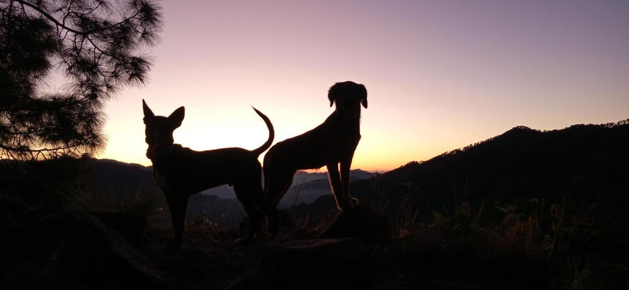 Vista Hostel Jeolikote, Nainital Patwa Dunga Kültér fotó